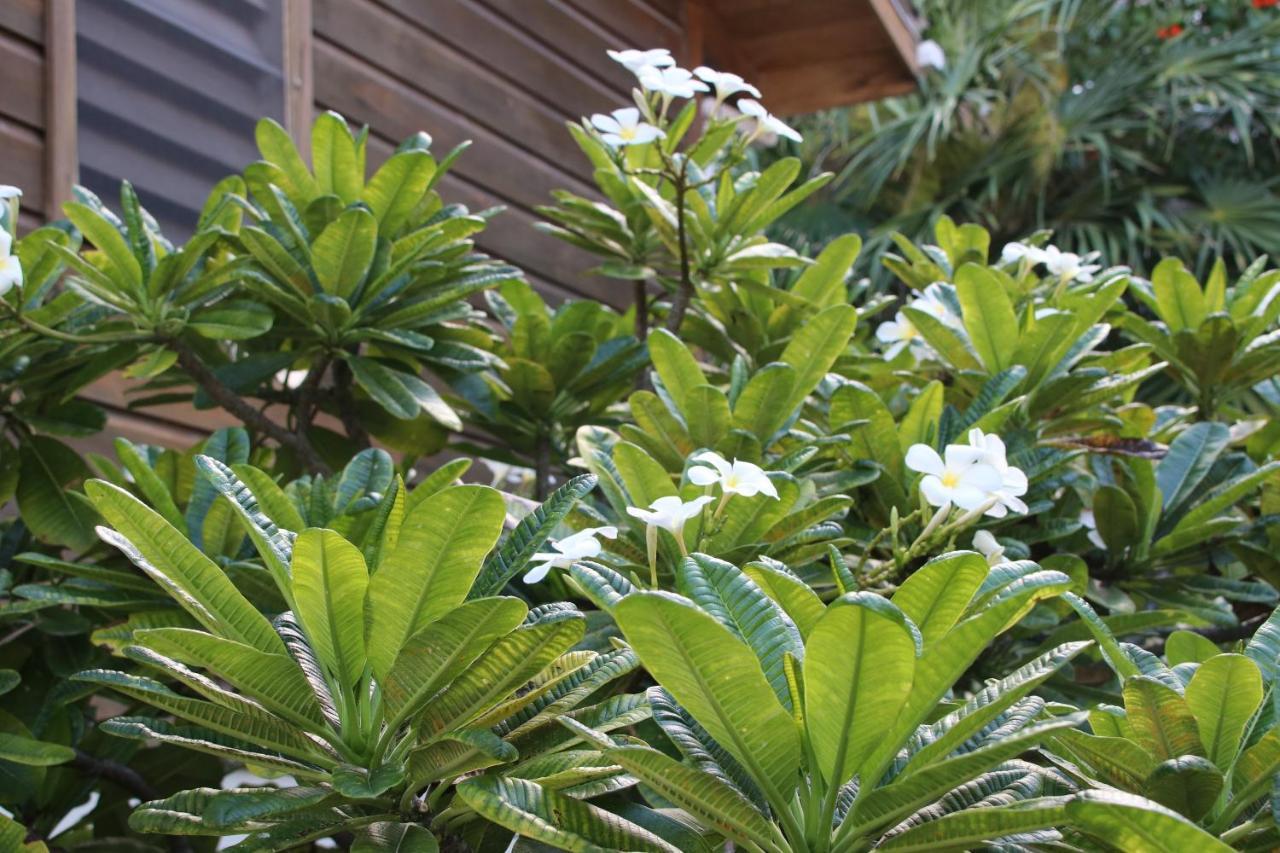 קיי קולקר Amanda'S Place Casa Amancer - Sea View, Pool And Tropical Garden מראה חיצוני תמונה