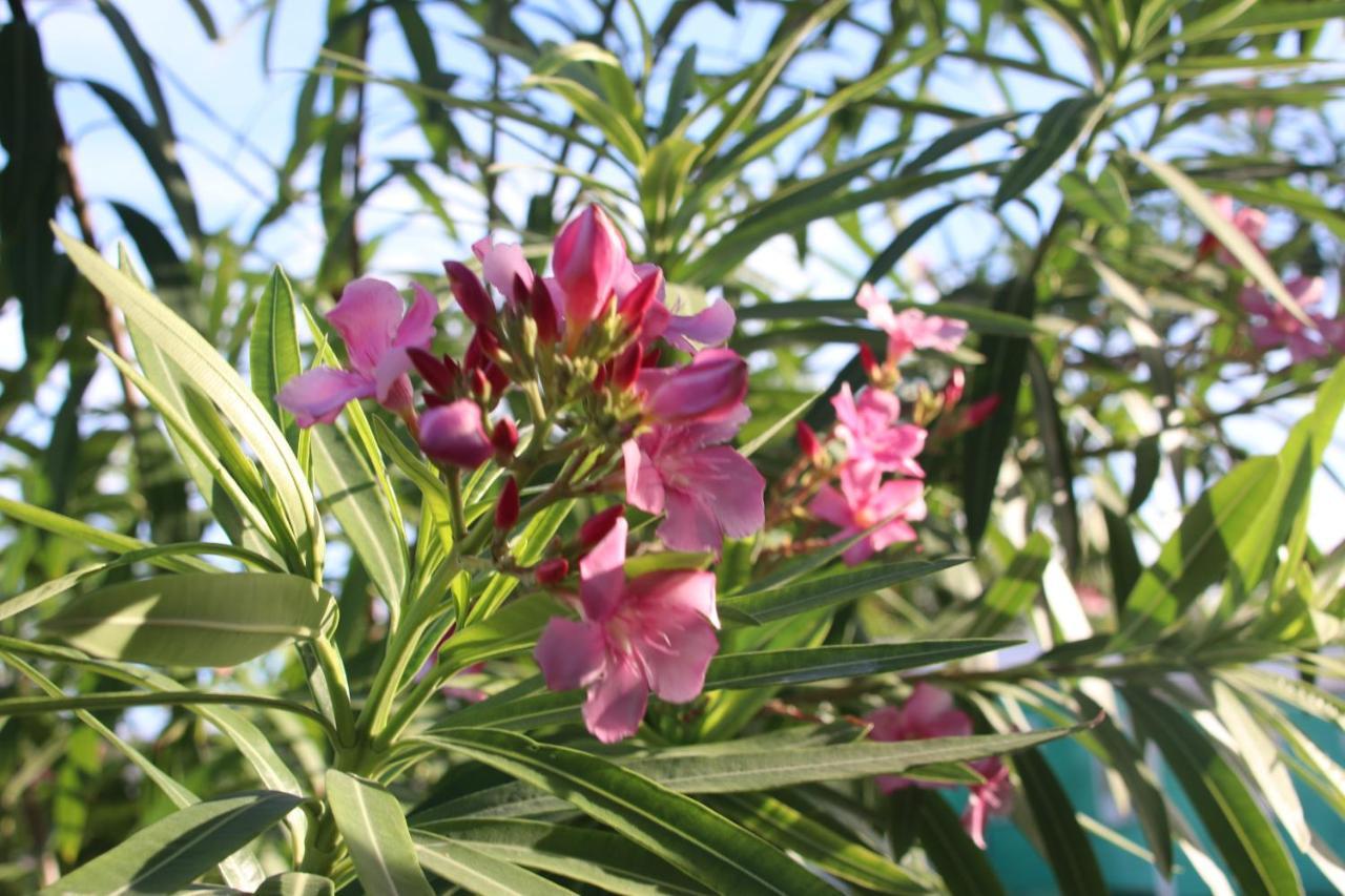 קיי קולקר Amanda'S Place Casa Amancer - Sea View, Pool And Tropical Garden מראה חיצוני תמונה